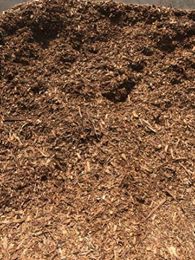 Forest Mulch